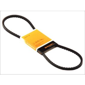 ékszíj 10x875 | (10x870, 10x880) | Continental