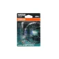 Izzó 12V 5W, W5W Cool Blue Intense NextGen (2db) – OSRAM