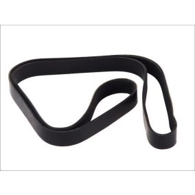 hosszbordás szíj 8pk1875 | 3.34313 | DT