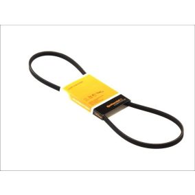 3pk815 (3pk812, 3pk820) | Continental