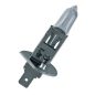 Izzó H1 12V 55W +30% – OSRAM