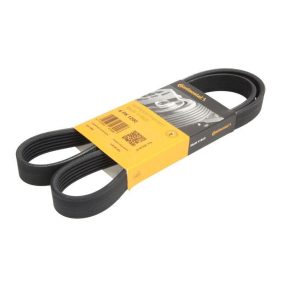 6pk1200 (6pk1195, 6pk1198, 6pk1199, 6pk1203, 6pk1205) | Continental