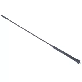   Autó antenna pót szál, 41 cm-es antennaárboc, 6 mm-es menettel – Carmotion 