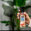 K2 CAYON Deocar – pumpás légfrissítő – Mézes alma illatú autóillatosító 250 ml