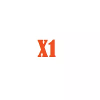 X1