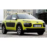 C4 Cactus 2014-2020