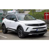 MOKKA B 2020-